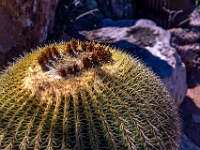 San Miguel de Allende, El Charco del Ingenio Jardín Botánico